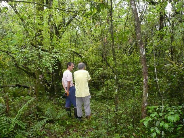 recorriendo los caminos de Opaybo.jpg